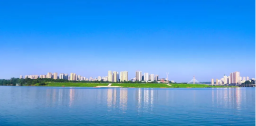 全力助推重慶潼南高新區(qū)委托招商引資，大力打造“6+1”產(chǎn)業(yè)集群！