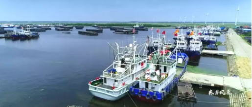 集團全力助推南通外向型農(nóng)業(yè)綜合開發(fā)區(qū)委托招商引資，打造現(xiàn)代化專業(yè)食品園區(qū)