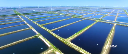 集團全力助推南通外向型農(nóng)業(yè)綜合開發(fā)區(qū)委托招商引資，打造現(xiàn)代化專業(yè)食品園區(qū)