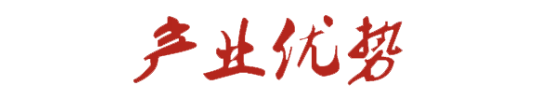 產(chǎn)業(yè)優(yōu)勢(shì)