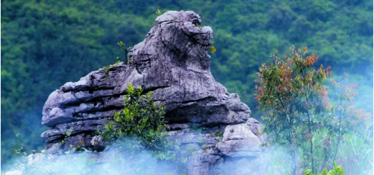 政府委托招商合作丨全力助推浙江衢州常山縣傳統(tǒng)產(chǎn)業(yè)加快升級，新興產(chǎn)業(yè)異軍突起