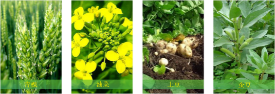 【甘南政府招商推介】立足生態(tài)優(yōu)勢，推動綠色發(fā)展，打造青藏高原上的生態(tài)文明高地