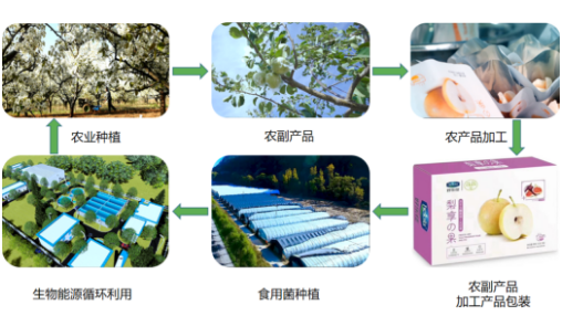 集團(tuán)全力助推山西省臨汾市隰縣委托招商引資，強(qiáng)力打造優(yōu)勢(shì)產(chǎn)業(yè)新名片