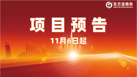 搶抓進博機遇，堅持一線開發(fā)！11月6日起，17家優(yōu)質(zhì)投資選址企業(yè)精準(zhǔn)對接全國政府園區(qū)
