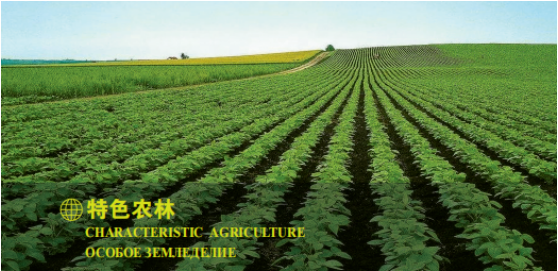 集團(tuán)全力助推黑龍江大興安嶺委托招商引資，聚力將“冷資源”轉(zhuǎn)化為“熱經(jīng)濟(jì)”！