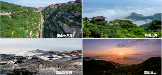 集團全力助推山東泰安岱岳區(qū)委托招商引資，擴大產(chǎn)業(yè)集聚規(guī)模