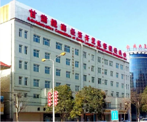集團(tuán)全力助推甘肅隴南成縣委托招商引資，充分挖掘資源潛力，增強(qiáng)經(jīng)濟(jì)發(fā)展動(dòng)力