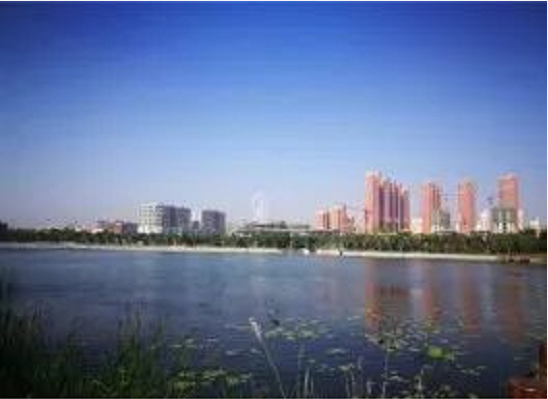 集團全力助推河南鄧州市委托招商引資，促進資源優(yōu)勢向主導(dǎo)產(chǎn)業(yè)集中轉(zhuǎn)化