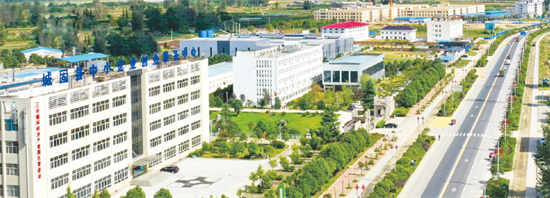 集團全力助推陜西省城固縣委托招商引資，打造百億級產(chǎn)業(yè)集群