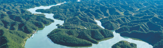 集團全力助推陜西省城固縣委托招商引資，打造百億級產(chǎn)業(yè)集群