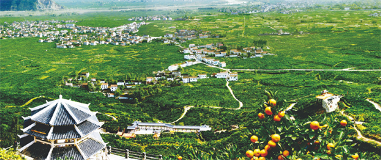 集團全力助推陜西省城固縣委托招商引資，打造百億級產(chǎn)業(yè)集群