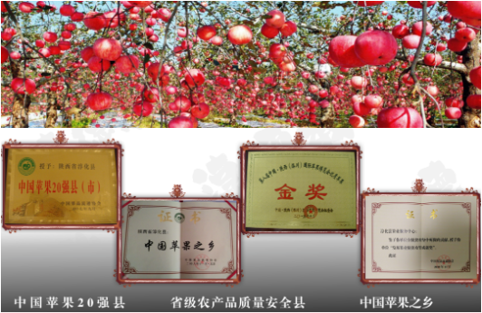 集團全力助推陜西淳化縣委托招商引資，打造優(yōu)勢特色產業(yè)集群