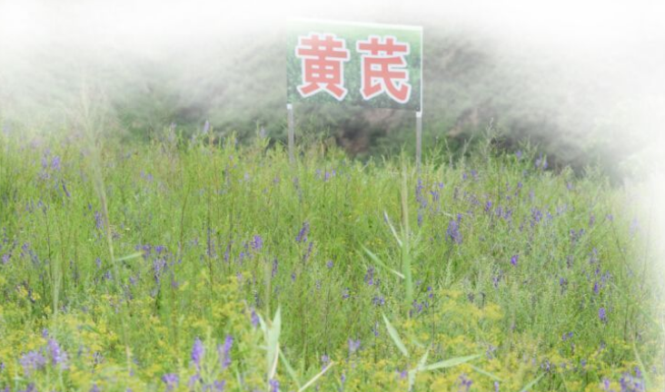 集團全力助推陜西榆林子洲縣委托招商引資，打造特色產(chǎn)業(yè)集聚地