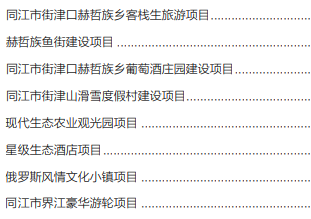 集團(tuán)全力助推黑龍江省同江市委托招商引資，充分挖掘開(kāi)發(fā)潛能，再次綻放邊陲魅力