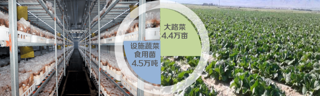 集團全力助推陜西淳化縣委托招商引資，激發(fā)產(chǎn)業(yè)新活力，培育發(fā)展新動能！